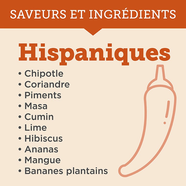 Hispanic Flavors
