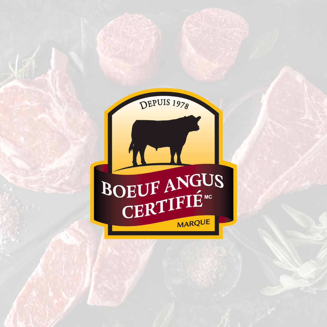 Boeuf Angus Certifié